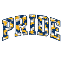 PRIDE CAMO