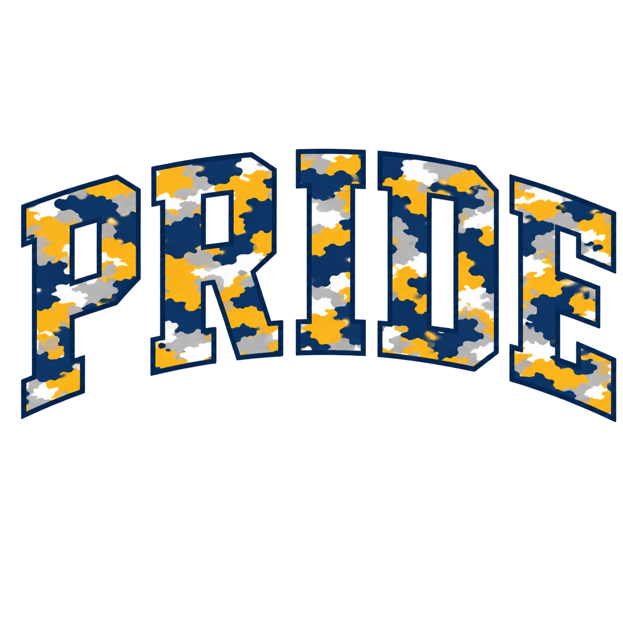 Pride Camo Womans