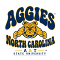 RETRO AGGIES STATE