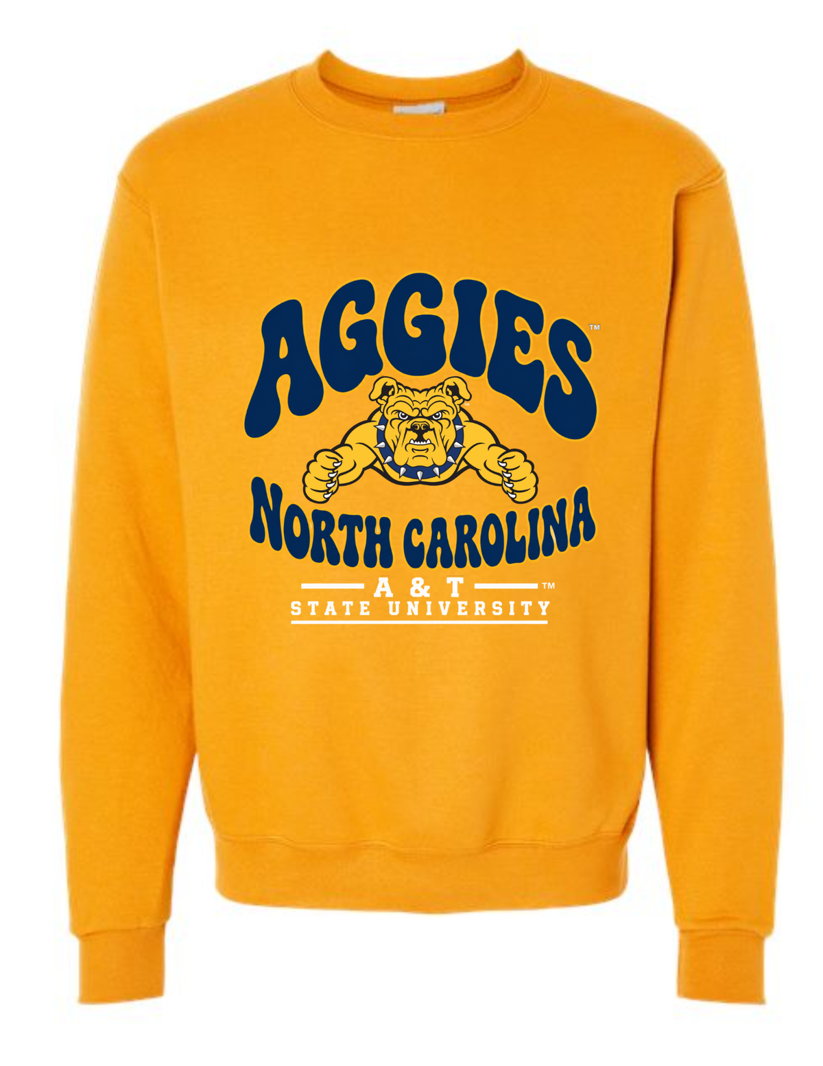 1891 AGGIES COLLEGIATE