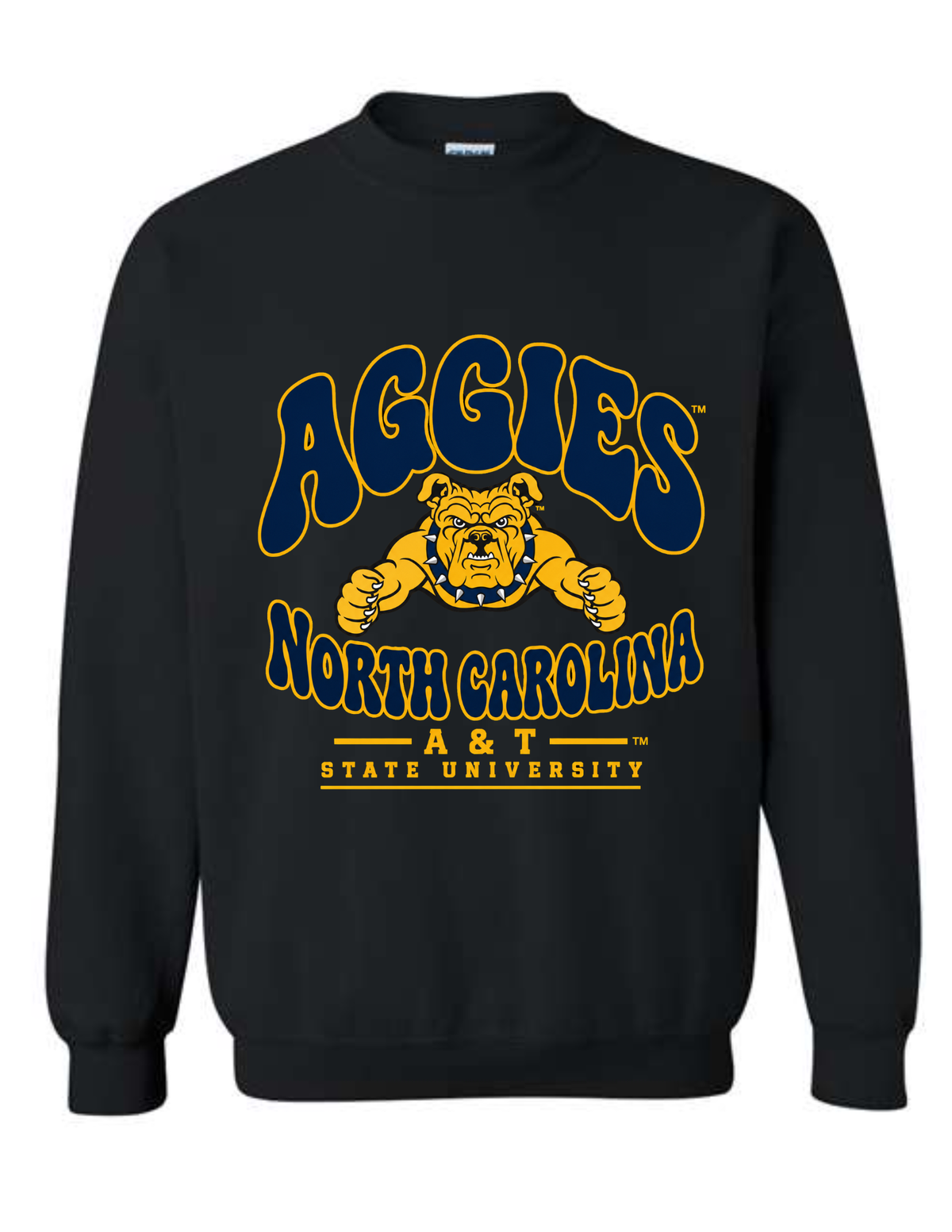 1891 AGGIES COLLEGIATE