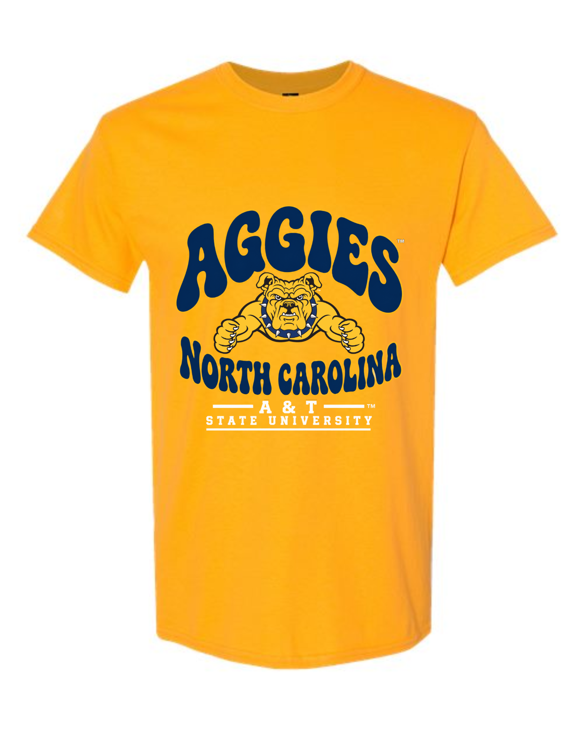 1891 AGGIES COLLEGIATE