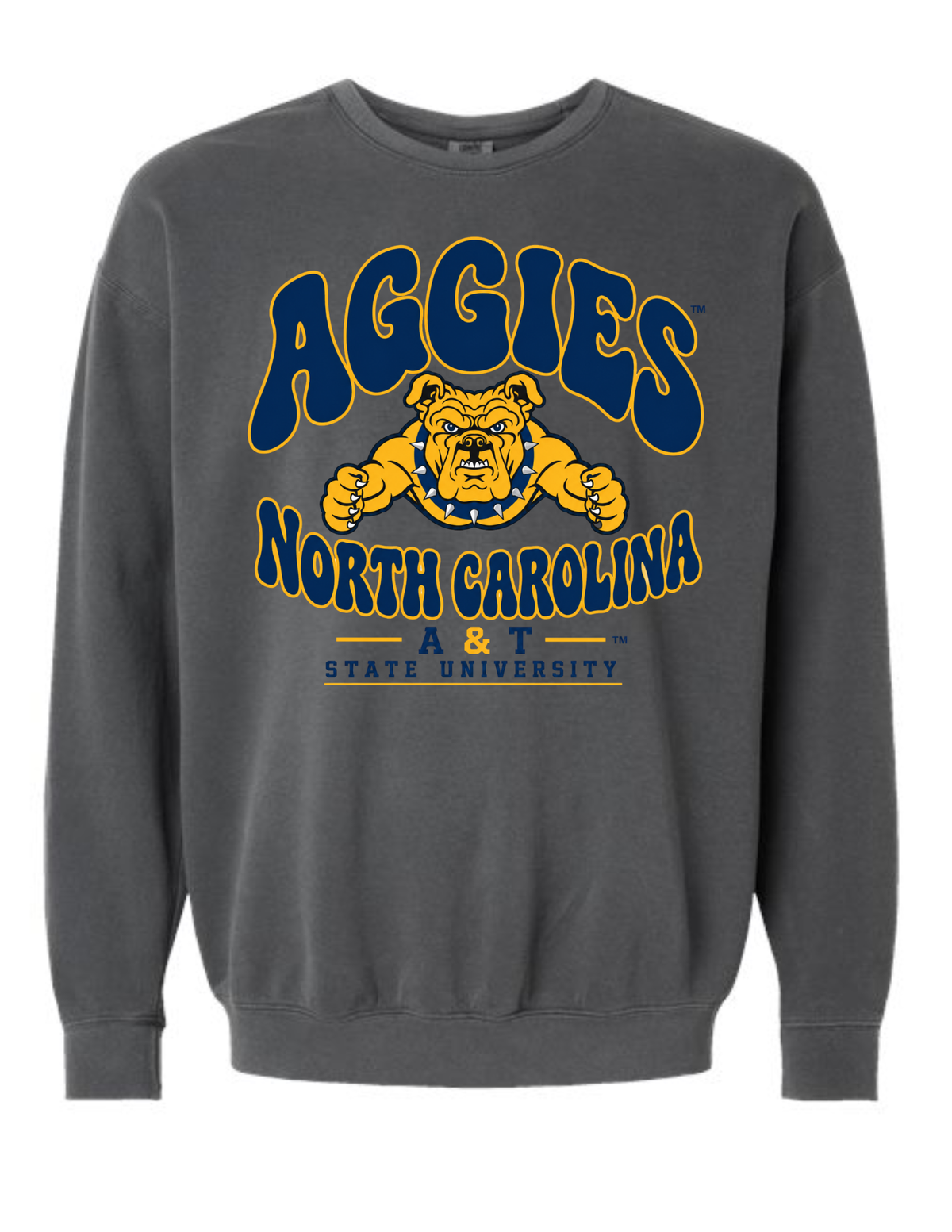 1891 AGGIES COLLEGIATE