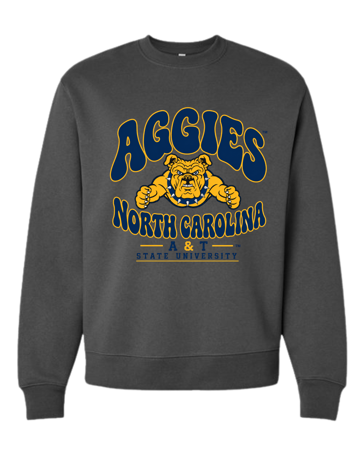 1891 AGGIES COLLEGIATE