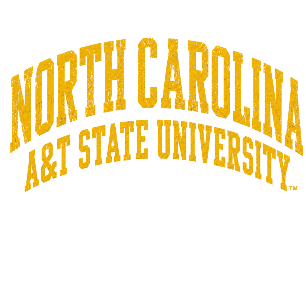 VINTAGE A&T COLLEGIATE Womans